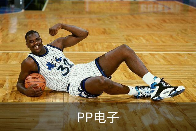 PP电子公司简介图片